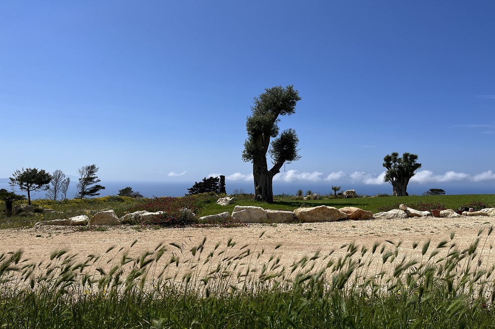 Il Successo del Tuo Giardino